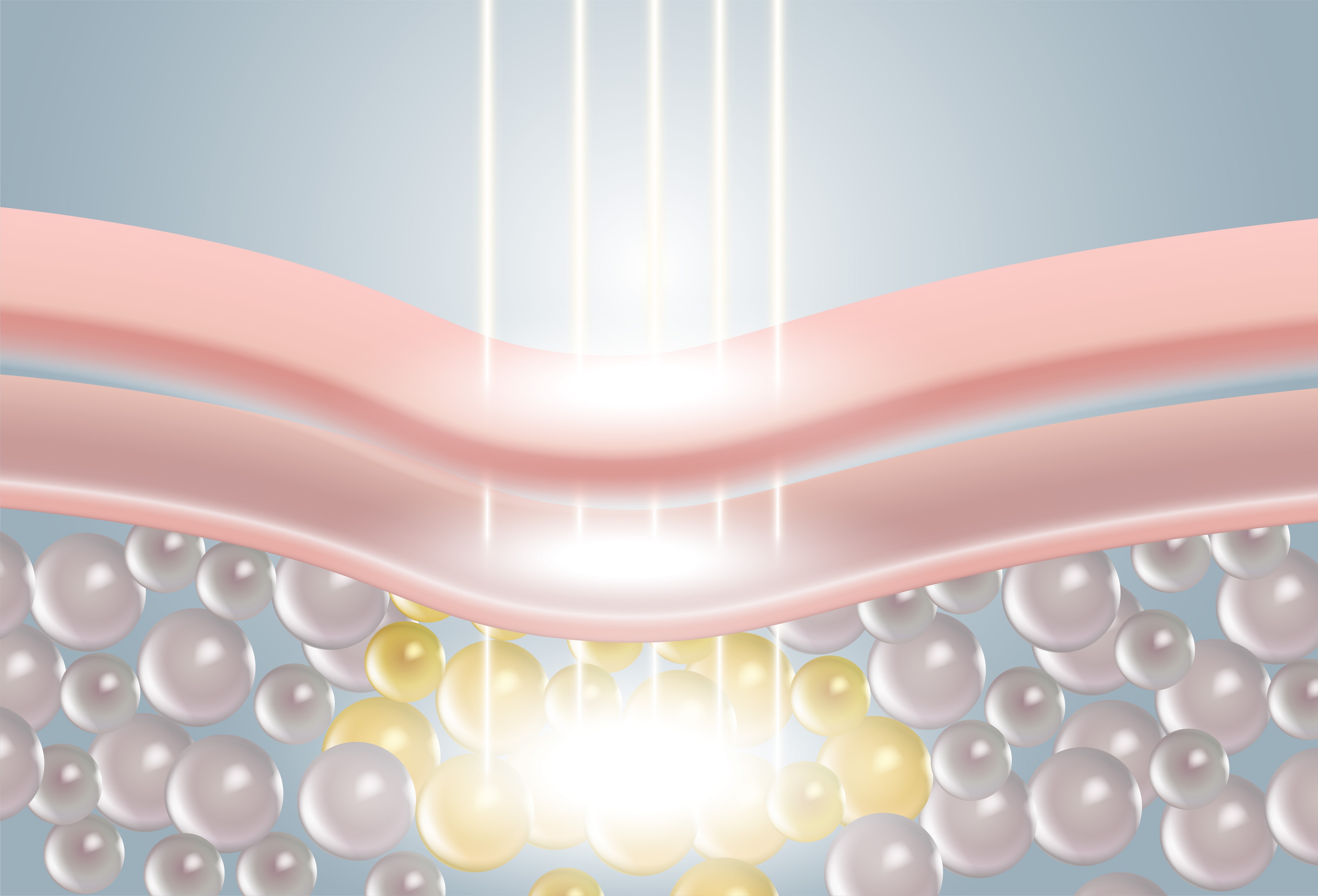 Collagen Remodeling